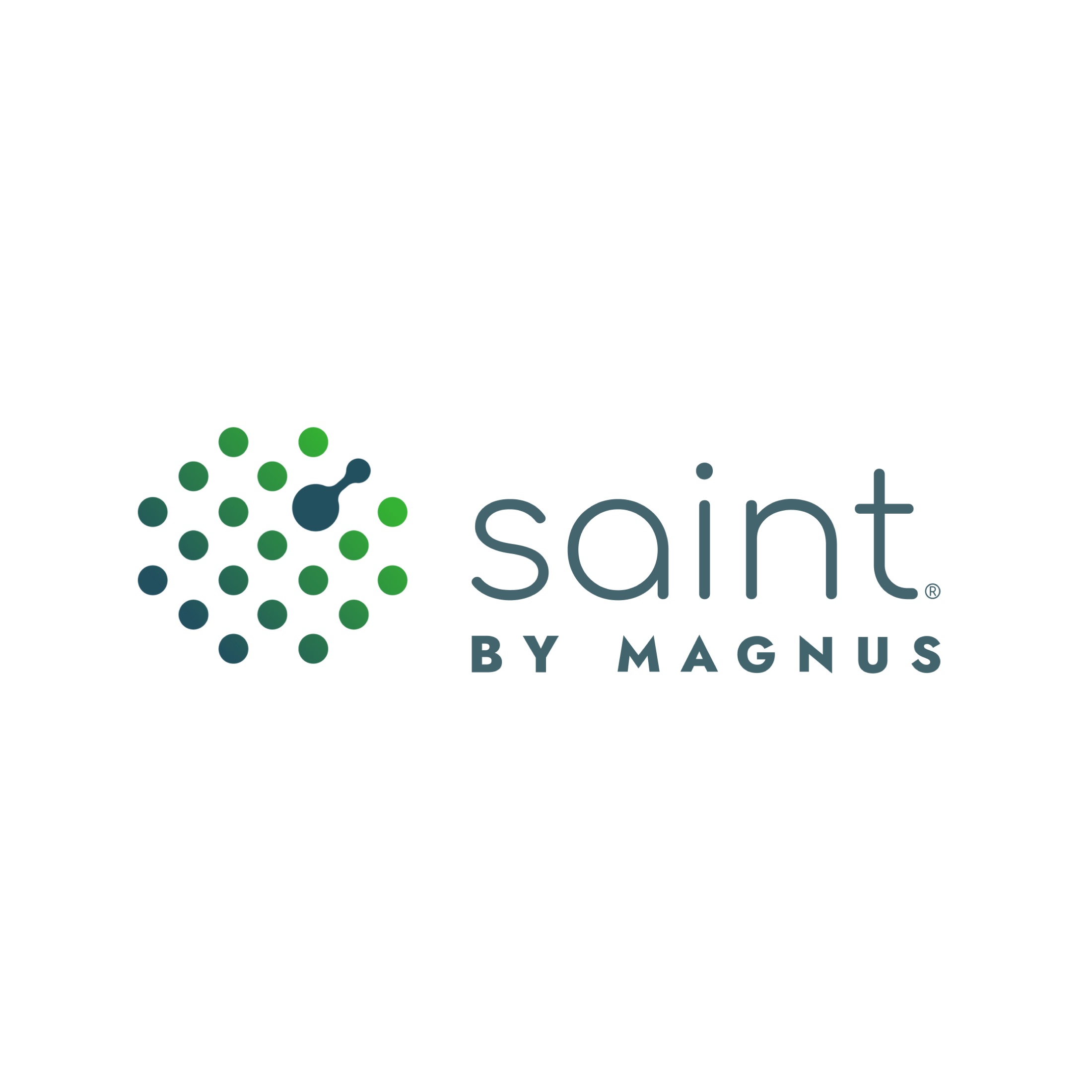 SAINT by Magnus lockup, horizontal