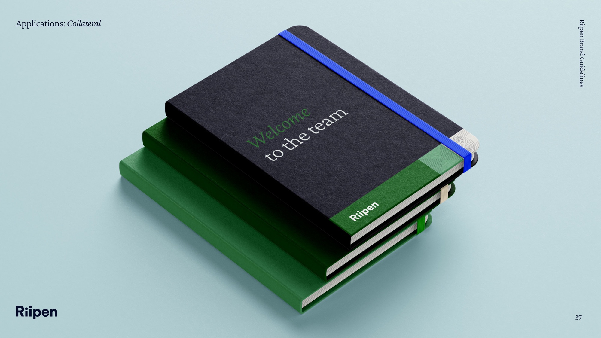 Riipen academic notebooks in navy and green